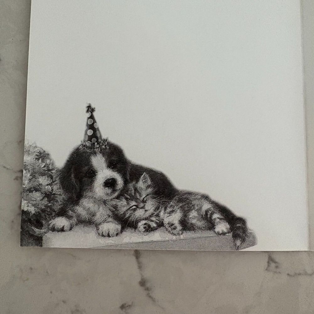 Cat & Dog Happy Birthday Card with‎ Envelope Habitat Hope Greeting Collection - Picture 3 of 6